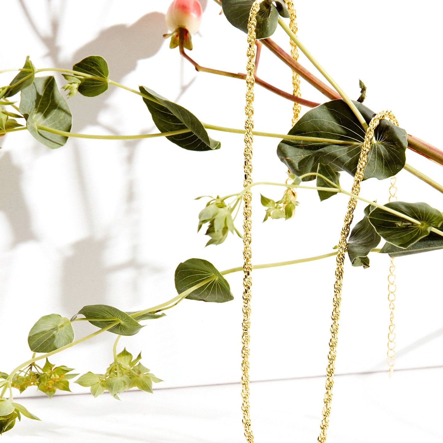 Rope Chain Necklace