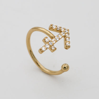 ICY Zodiac Ring