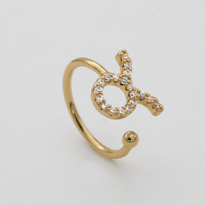 ICY Zodiac Ring